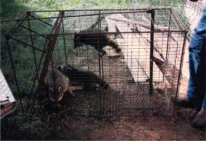 2014_05_27_21_03_45.pdf000